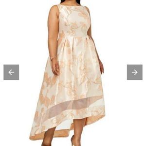 Adrianna Papell AP1E202994 High Low Pale Peach Floral Brocade Formal Dress 14W